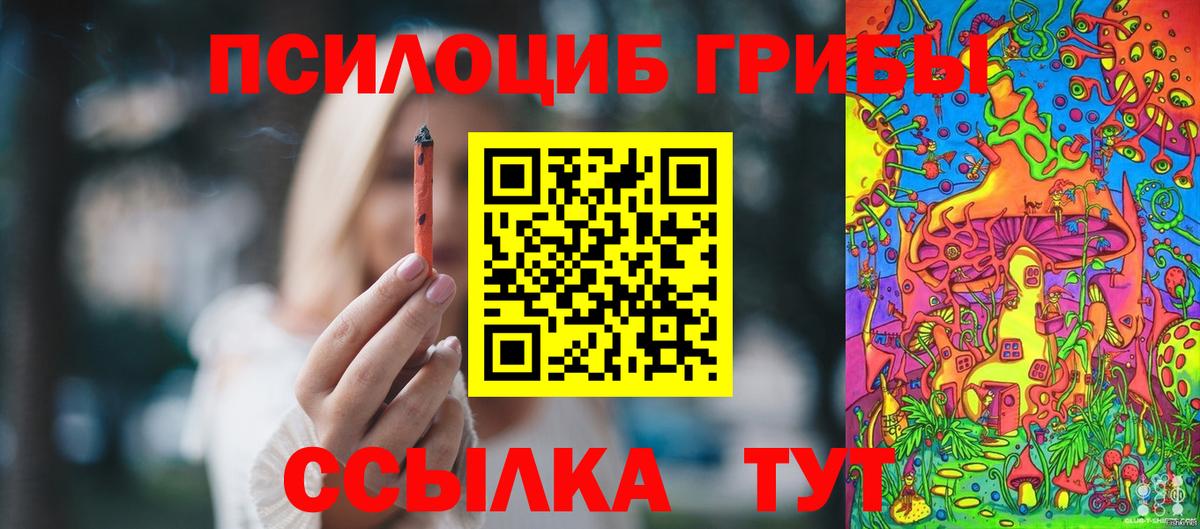 Галлюциногенные грибы MAGIC MUSHROOMS Фрязино